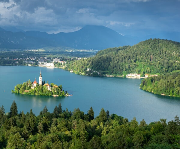 trees near body of water and building in center of lake