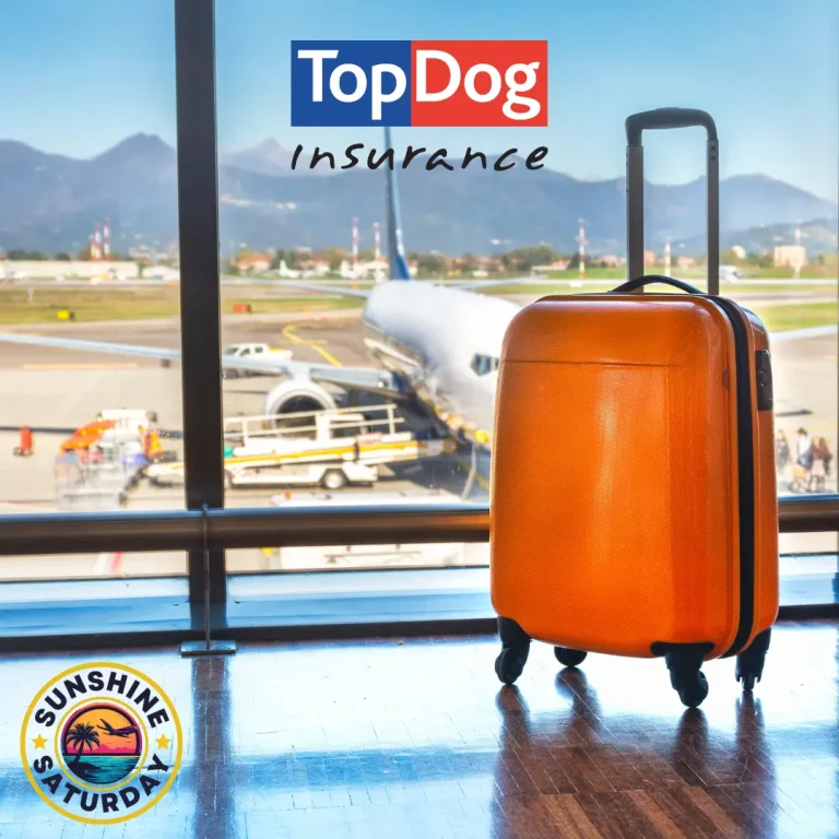 TopDog - 2026 Travel Trends